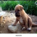 뷰네뜨