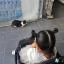 초전편의점 이미지