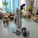 글로벌이앤아이 | 여자골프백 고르기! 나의 첫 골프백은 크리션 딥카스❤+클럽커버 추천+풋조이골프화