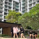 [야간]원어민 생활영어 이미지