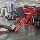 [가격인하] 해머 파워 레그프레스 / 너틸 딥 머신 / 부티빌더 힙 쓰러스트 판매합니다 이미지