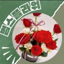 꽃과함께 맞이하는 봄 범스플라워 방문후기
