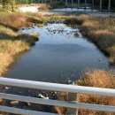 기세곡천 이미지