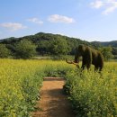 석장리박물관4 이미지