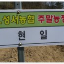 현일농장 Daum카페