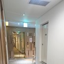 로사나부띠끄 관광호텔 | 잠실 롯데월드 근처 숙소 로사나부티크호텔 아이와 2번째 방문한 장단점 솔직후기