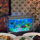 디엔차이 이미지