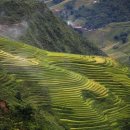 사파이전문정비 이미지