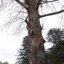 중방2리 이미지