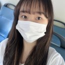 프리모르 이미지