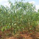 산정농원 이미지