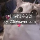 비올레브