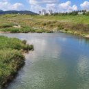 부천-오정-부천-6호 이미지