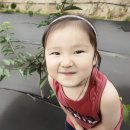 중선농장 이미지