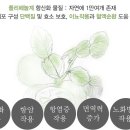 주식회사 클린환경 네이버블로그