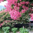 함평모란정 이미지