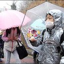 Radioactive. 이미지