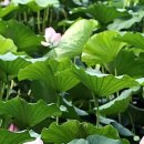 땅땅부장공인중개사사무소 이미지