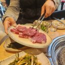 화명동 소고기 맛집 태백한우 방문 후기! 신선한 한우에 감탄했어요!