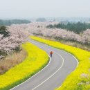 수성여행사 이미지