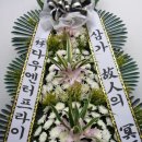 (주)다우엔터프라이즈