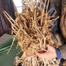 입동농장 이미지