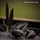 서울시립영보자애원 | 묵리요양원 서울시립영보자애원노인요양원 편안한 돌봄 환경