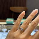 디자인 | 티파니 1캐럿다이아반지 주얼리 가격 디자인 비교 후기