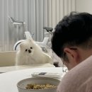 디니어 - 김해시 | 디니어