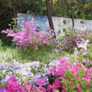 계룡시 두마면 두계 두계리 122-4 | 계룡여행 계룡역에서 꽃피는 팥거리 지나 두계고택까지