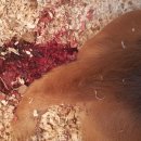 천평농장 이미지