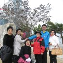 공덕초등학교 이미지