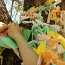 함박꽃민속촌 | 정선 아라리촌 가볼만한곳 추천 민속촌, 전통혼례 등 각종체험 가능해요