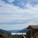 대창민박 이미지