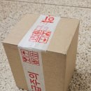 의정로 | 🐢 [해인공방] 귀여움 폭발! 건강 기원 거북이 캔들과 인테리어 소품 후기 ✨