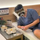 동림한방허브사우나 | 2603 대련 3박4일 후기 - 짧고 굵은 여행 요약