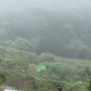 도프밀