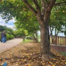 그늘막94 이미지