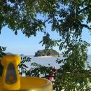 리틀미코노스5 이미지