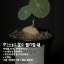 나눔당구장 | 주간 희재 일기 Mar 03. 봄과 함께 온 엄마 생신 주간🌼