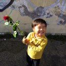 니하오 이미지