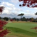 보라현대서비스 이미지