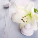 &#39;톰포드 화이트 스웨이드&#39; 4년동안 가격 얼만큼 올랐을까? / 이성꼬시기 최적의 향수 후기