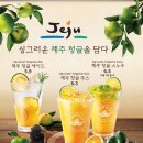 엔제리너스제주 이미지