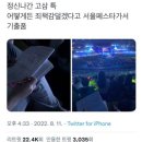 이지훈동물병원 | 라잇히어 &#39;못&#39; 간 사람의 라잇히어 후기