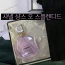스플렌디드 | 샤넬 향수 샤넬 샹스 오 스플렌디드 구매 후기