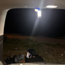 GS25 영덕 남정점 이미지