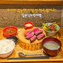 오사카 갔는데 이걸 안 먹고 왔다고! 일본식도락여행