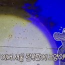 서울로 7017 바퀴벌레 급증 이유 이미지