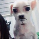 숙이분식 - 함양군 용평3길 47 | [대전 성심당/시루전문점]주말 대전 성심당 본점 시루매장 웨이팅 후기 가져왔.어요